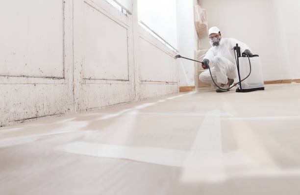 24/7 Emergency Attic Mold Removal experts in Lisle, IL